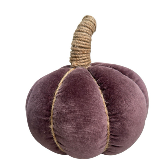 Pottery Barn Velvet Pumpkin Pillow Fig New With Tags 2023 READ - Picture 1 of 10